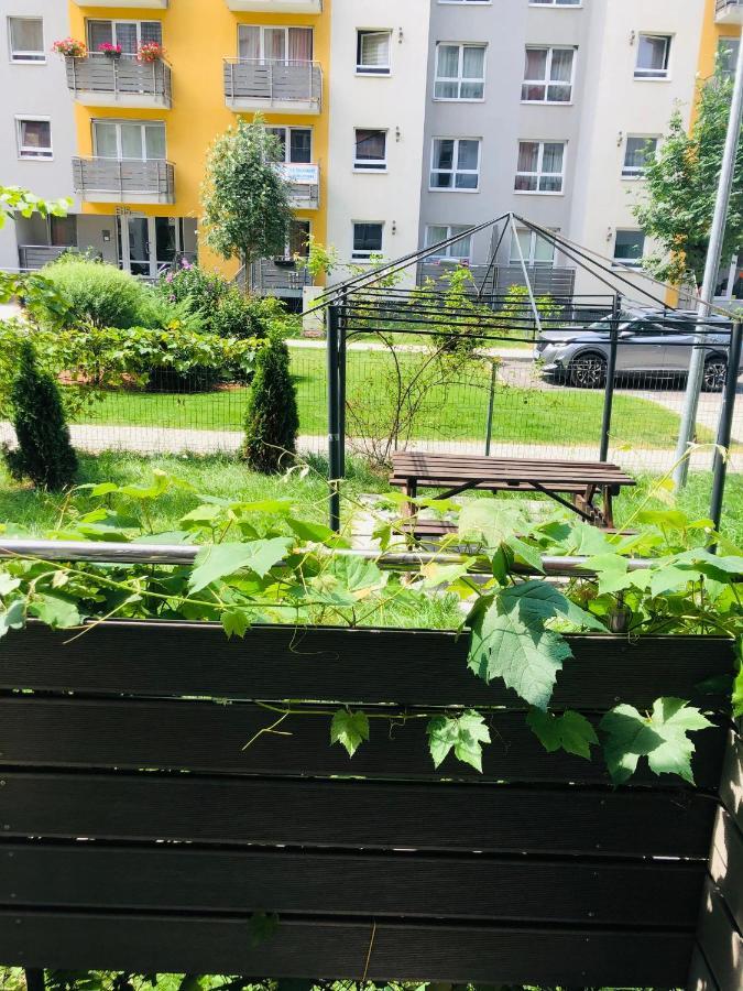 Brasov 3C Delux 아파트 외부 사진